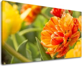 Obraz na stenu KVETY KV001E11 - 20x30 cm