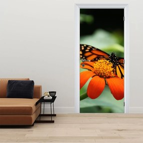 Fototapeta na dvere - Motýľ na kvetine (95x205cm)
