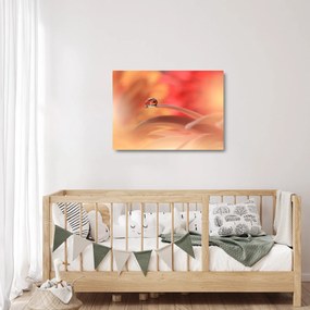Sklenený obraz kvetinové kvapky rosy (70x50 cm)