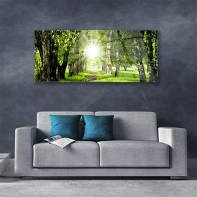Obraz plexi Les slnko chodník príroda 125x50 cm