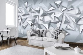 Fototapeta - Trojuholník 3D (254x184 cm)