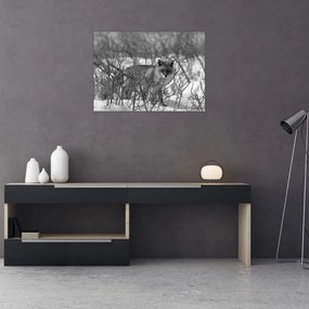 Sklenený obraz - Líška v zime (70x50 cm)