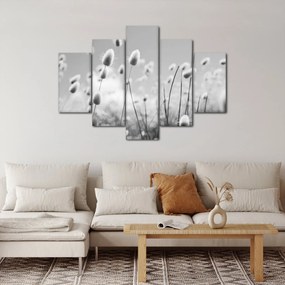 Obraz - Boho bunny tail grass (150x105 cm)