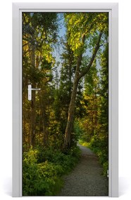 Fototapeta na dvere chodník v lese 85x205 cm