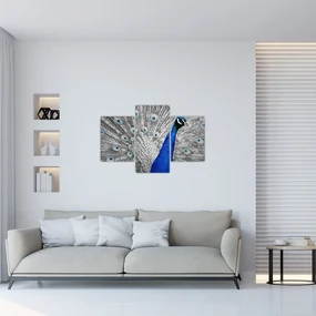 Obraz - modrý páv (90x60 cm)