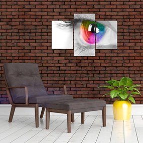 Obraz - Očná dúhovka (90x60 cm)