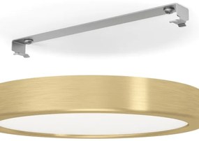 Eglo 900181 - LED stropné svietidlo FUEVA LED/17W/230V pr. 21 cm