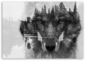 Obraz na plátně Vlk Lesní zvířata Příroda - 120x80 cm