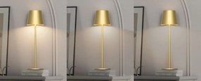 Toolight Toolight, dotyková LED nočná stolná lampa 5W, 3 farby svetla, USB napájanie, APP1364-T GOLD, zlatá lesklá, OSW-08627