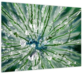 Obraz - Makro snímka kvetu (70x50 cm)