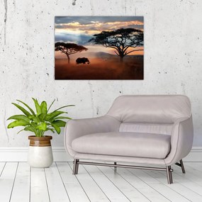 Obraz - Národný park Serengeti, Tanzánia, Afrika (70x50 cm)