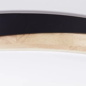 Brilliant - LED St. stropné svietidlo BAARLO LED/36W/230V pr. 50 cm čierna + DO