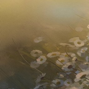 Obraz - Olejomaľba sedmokrások (s hodinami) (90x30 cm)