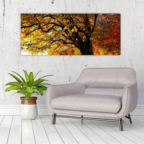 Obraz jesenného stromu (120x50 cm)