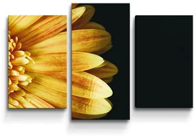 Sablio Obraz - 3-dílný Žltá gerbera - 75x50 cm