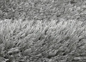 Koberce Breno Kusový koberec RHAPSODY 25-01/906, strieborná,60 x 120 cm