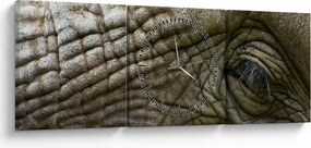 Obraz - Detailné fotografie starého slonieho oka (s hodinami) (90x30 cm)
