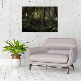 Sklenený obraz - Tajomný les (70x50 cm)