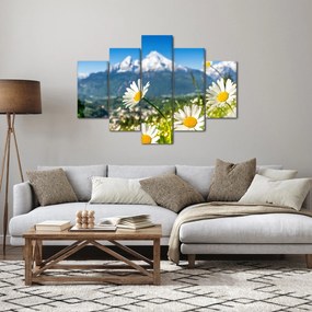 Obraz - Jar v Alpách (150x105 cm)