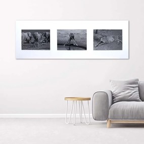 Obraz na plátně Afrika Zvířata Černá Bílá - 120x40 cm