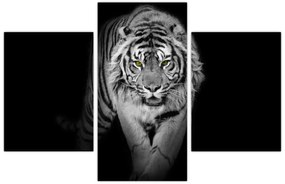 Obraz - Tiger so žltými očami (90x60 cm)