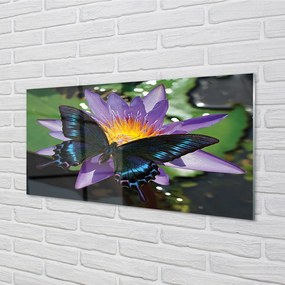 Obraz na akrylátovom skle Motýľ kvetina 100x50 cm