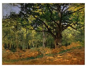 Reprodukcia obrazu Claude Monet - The Bodmer Oak, Fontainebleau Forest, 70 × 50 cm