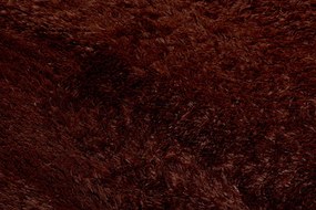 TA Koberec BROWN BROWN SILK Hnedý Obdĺžnikový Rozmer: 80x150 cm