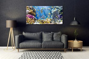 Obraz na akrylátovom skle Koralový útes príroda 120x60 cm