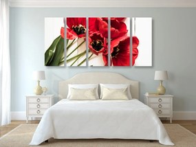5-dielny obraz rozkvitnuté červené tulipány