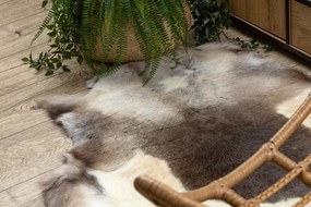 Koberec RENIFER POK019 hnedý