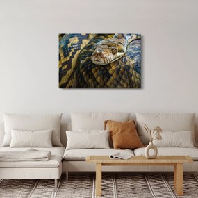 Obraz - Pytón (90x60 cm)
