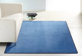 Hanse Home Collection koberce Kusový koberec Nasty 101153 Blau - 200x300 cm