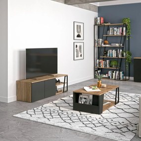 Konferenčný stolík s doskou v dekore orechového dreva 100x55 cm Albi - TemaHome