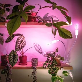 Flexibilná stolná lampa s klipom PLANTY 2xE27/30W/230V biela