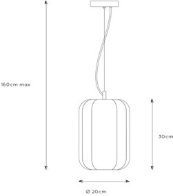 Lucide 25409/01/30 - Luster na lanku FERN 1xE27/60W/230V