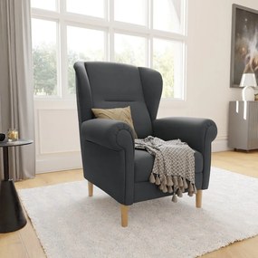 Tmavosivé kreslo ušiak Swan – Ropez