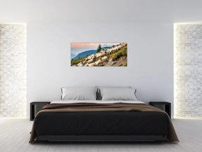 Obraz - Stádo oviec (120x50 cm)