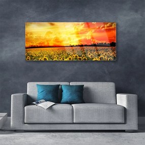 Obraz plexi Lúka slnečnica kvety 125x50 cm