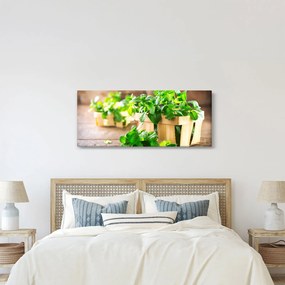 Obraz čerstvej mäty (120x50 cm)