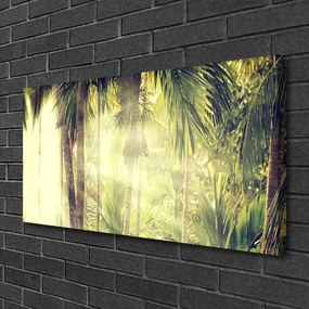 Obraz Canvas Les palmy stromy príroda 140x70 cm