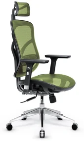 Ergonomické kreslo Diablo V-Basic, čierno-zelené