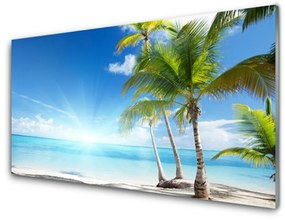 Obraz na akrylátovom skle Palma strom more krajina 125x50 cm