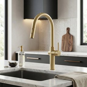 Rea Fresh High, vysoká kuchynská batéria s výsuvnou spŕškou, zlatá matná, REA-B7201