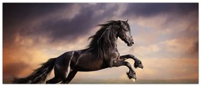 Obraz - Kone (120x50 cm)