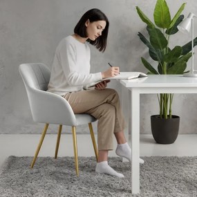 Sada dvoch jedálenských stoličiek LUXANO zamatové, sivé / zlaté nohy (2 ks)