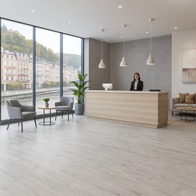 Gerflor, PVC podlaha - lino AladinTex Ultra 1751, na mieru, šíře 2m,4m, šedá, filc, chodba / predsieň