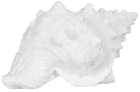 Soška z polyresínu (výška 12 cm) Seashell – Ixia