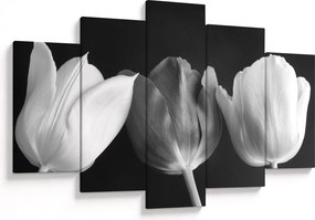 Obraz - Čiernobiele kvety tulipánov (150x105 cm)