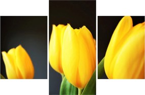 Obraz tulipánov (90x60 cm)